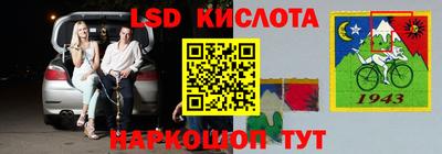 шишки Тара