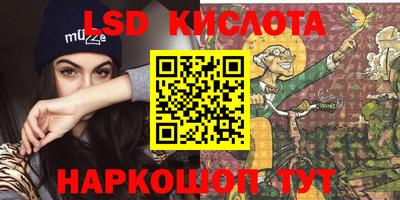 шишки Тара
