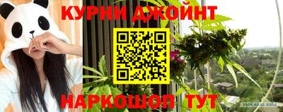 шишки Тара